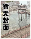 轩辕大宝(大宝传奇)全文阅读