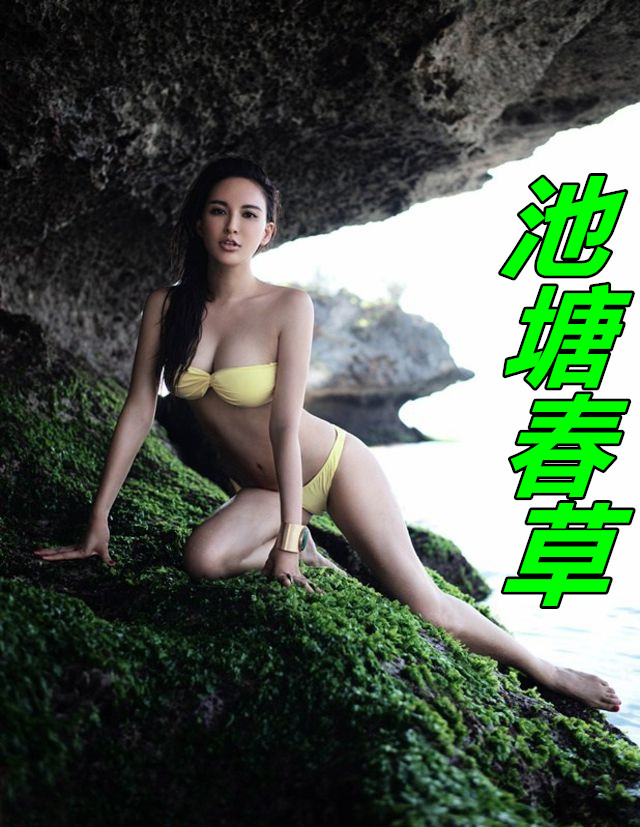 池塘春草梦是描写什么的句子