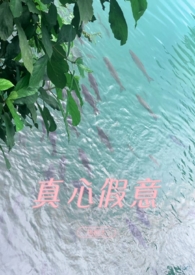 真心和假意的人生感悟