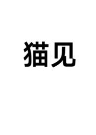 猫见主人打滚表示什么