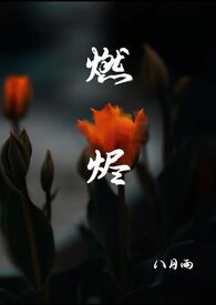 燃烬小说不下雨