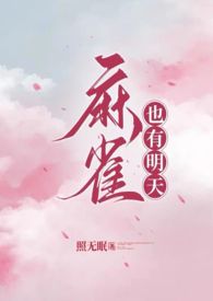 小说麻雀