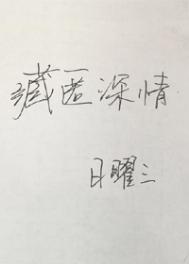 《藏匿深情》