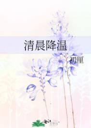 清晨降温txt