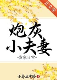 炮灰小夫妻发家日常txt番外