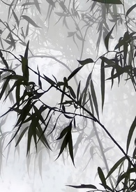 听茶煮雨