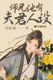 师兄他有夫君人设小说